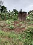 A picture of LAND FOR SALE IN BUDDO 45 Decimals with ready private