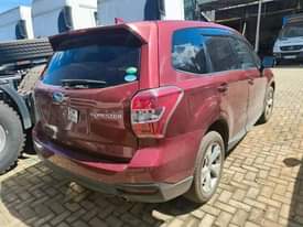 A picture of Forester 2014 46M