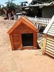 A picture of DOG HOUSES