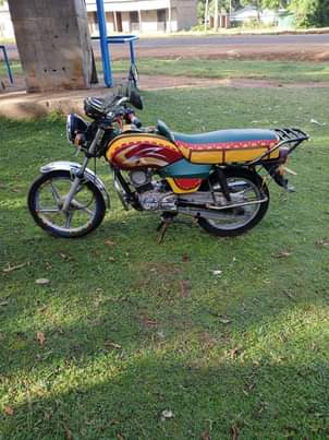 tvs hlx