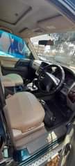 A picture of Pajero bitama