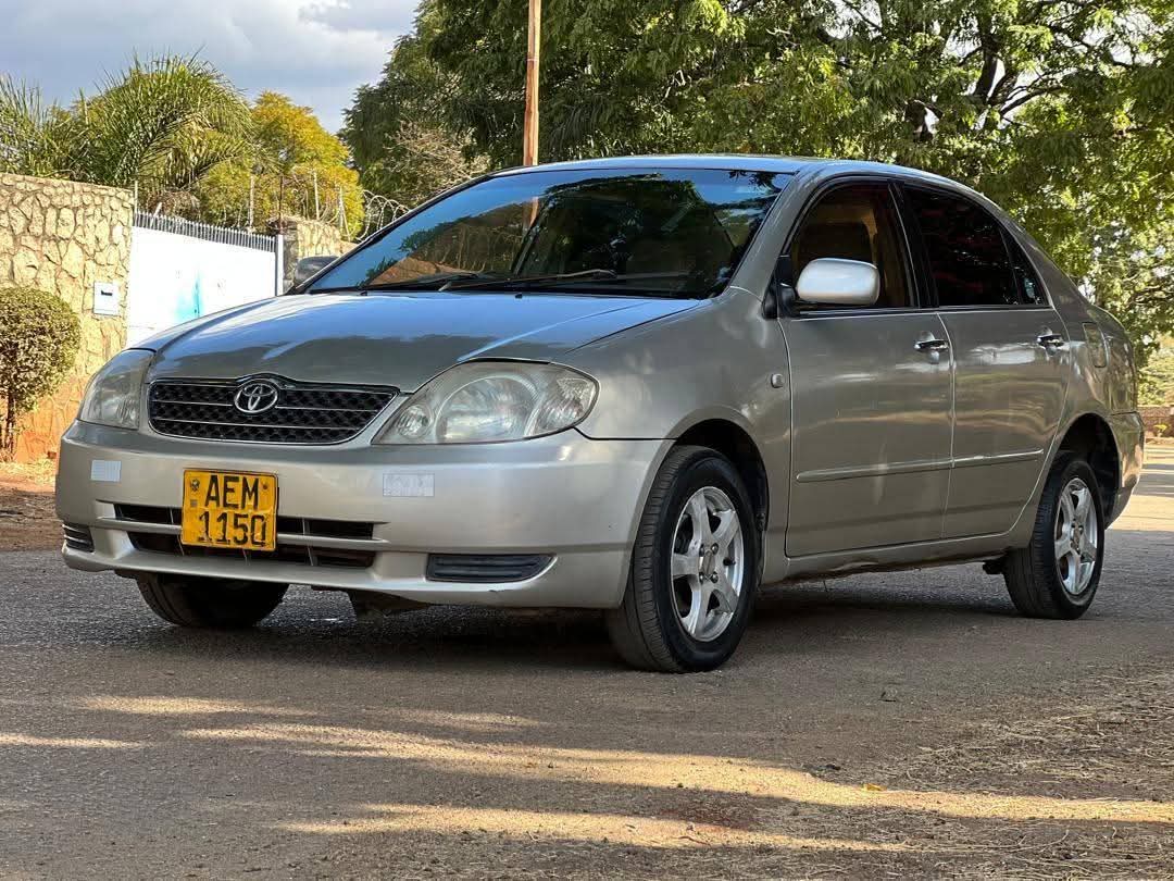 toyota corolla bubble
