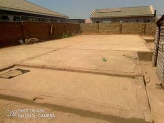 stands