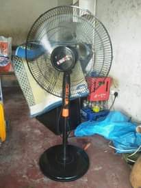 A picture of FENI