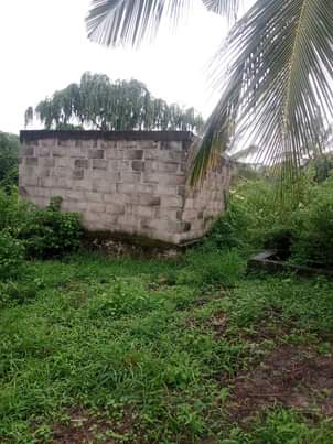 kiwanja
