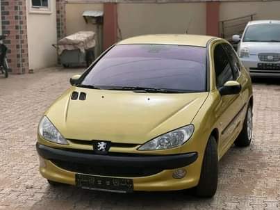 A picture of Peugeot 206 2004