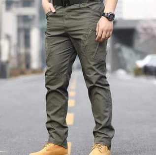 JAPANESE V.