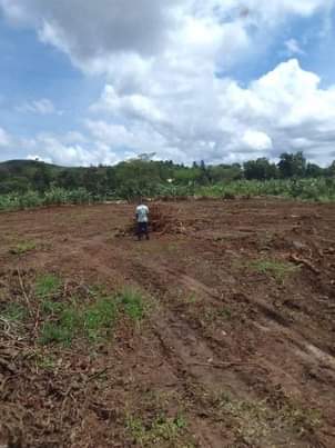 A picture of PLOTS AT OUR ESTATE MABOMBWE