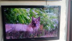 A picture of TV inch 32 inch 40 inch 45