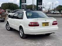 A picture of COROLLA 111