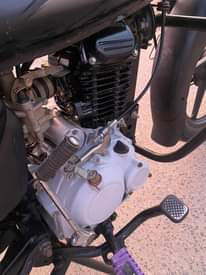 A picture of Boxer cc 125 DMP