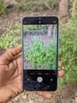 A picture of Vivo 2015 mpyaaaa mno gb32 ram2 net4g wah 0687879635