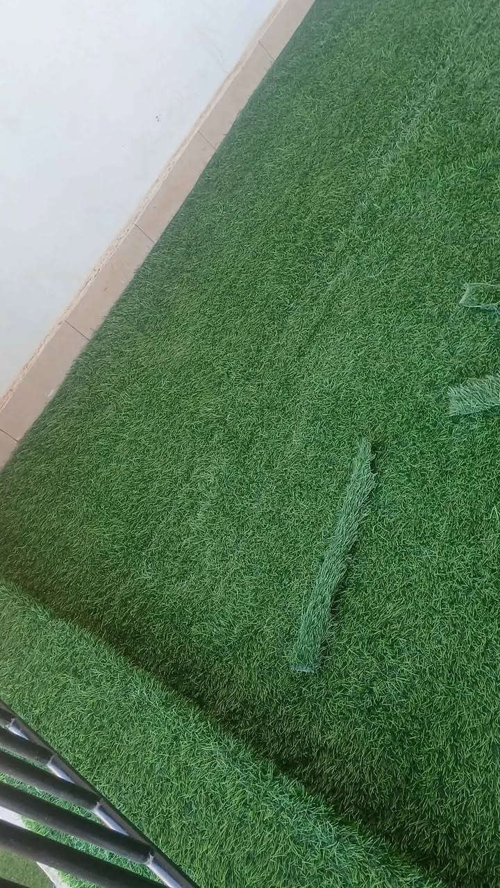A picture of Green grass Carpet