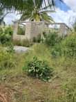 A picture of Pagala linauzwa ml 5