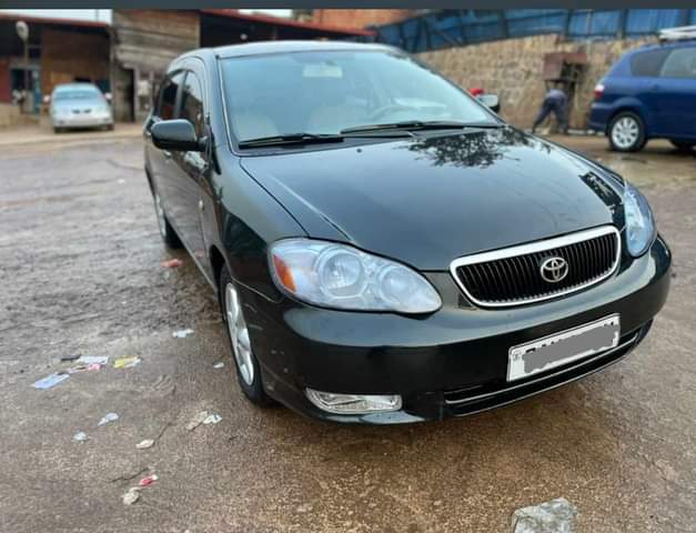 used toyota corolla