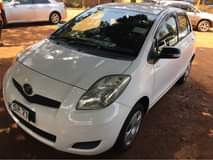 A picture of Vitz