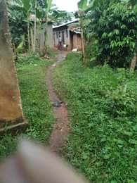 A picture of ANTI MR PROPERTY MANAGEMENT PLOT FOR SALE LOCATED AT KASANJE