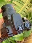 A picture of CANON 350d