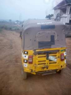 A picture of 2019 Bajaj 207