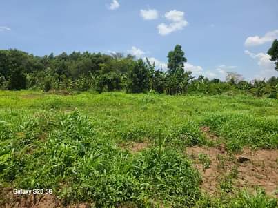 A picture of PLOTS FOR SALE