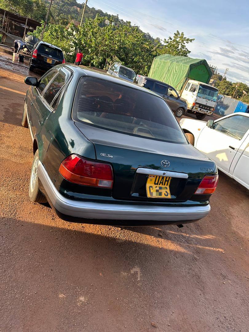 A picture of 0705 027609 6 5m negotiable