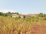 A picture of PLOTS FOR SALE AT 25M UGX LOCATED IN GAYAZA KABUBU