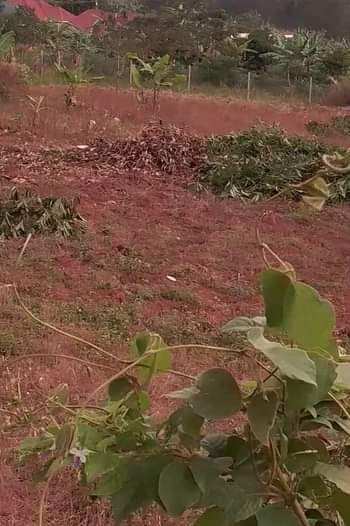 A picture of Nice Plots at Nakawuka Jjungo Price 7millions