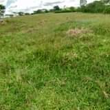 A picture of 80 acres of land in ntungamo for sale at 14m