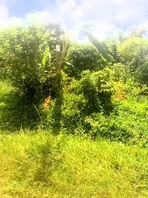 houses matugga
