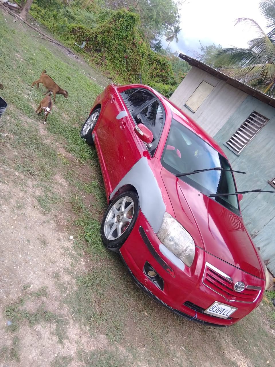 cars