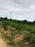 A picture of Kiwanja kinauzwa Kimbiji Ngobanya GSM