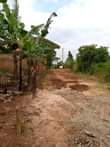 A picture of Gayaza busukuma quick sale plot