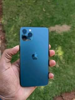 iphone 11pro