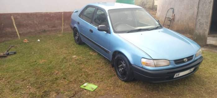 KZN A.