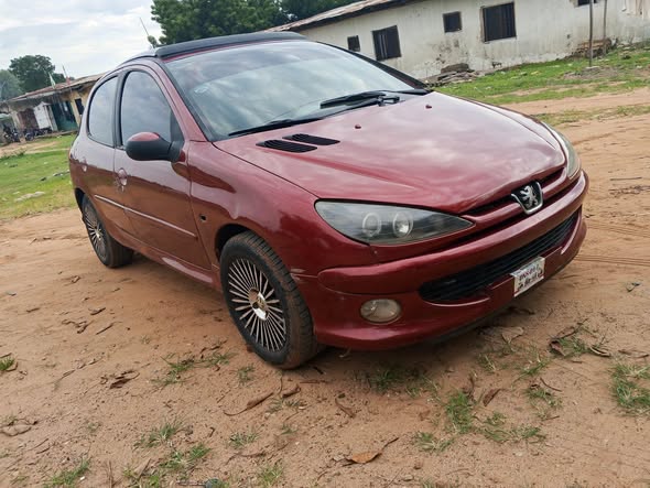 A picture of Peugeot 206