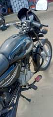 A picture of Boxer 126