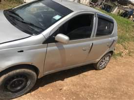 A picture of Gari vits
