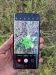 A picture of Samsung Galaxy s9 krek kdg gb64 ram4 net4g