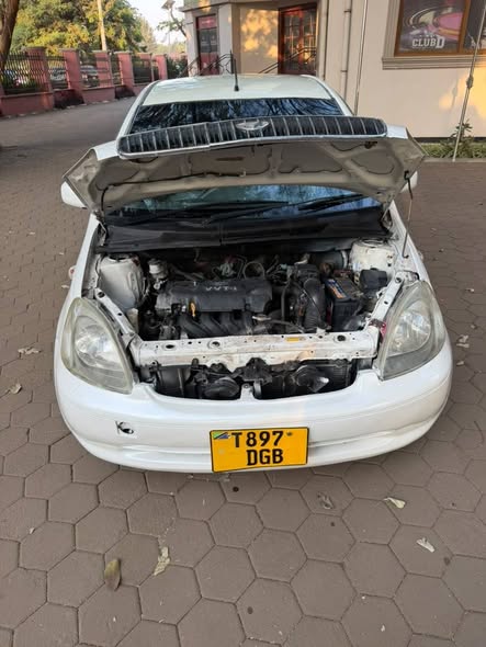 A picture of Vitz