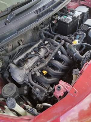 cars
