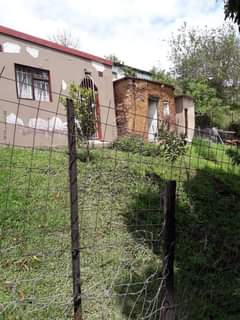 Letho G.