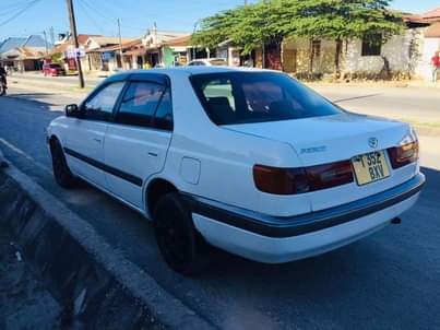 A picture of  PREMIO_0620356906