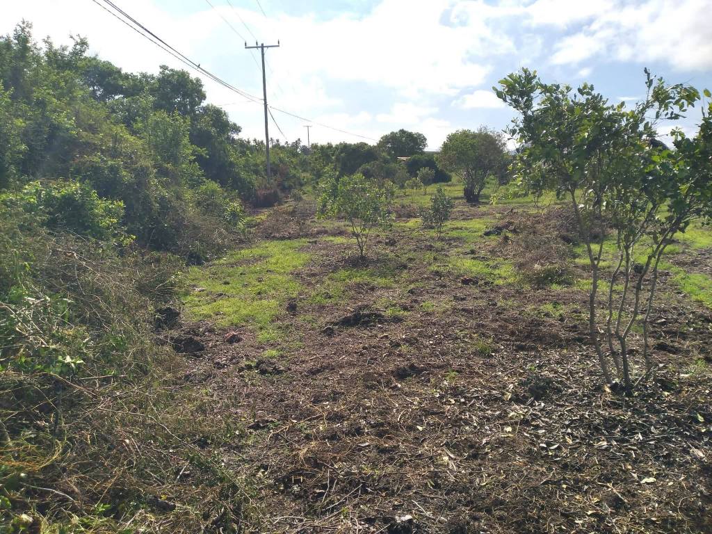 A picture of Amazing Land for Sale in Jambiani Zanzibar
