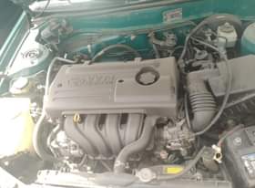 A picture of Corolla beast needed