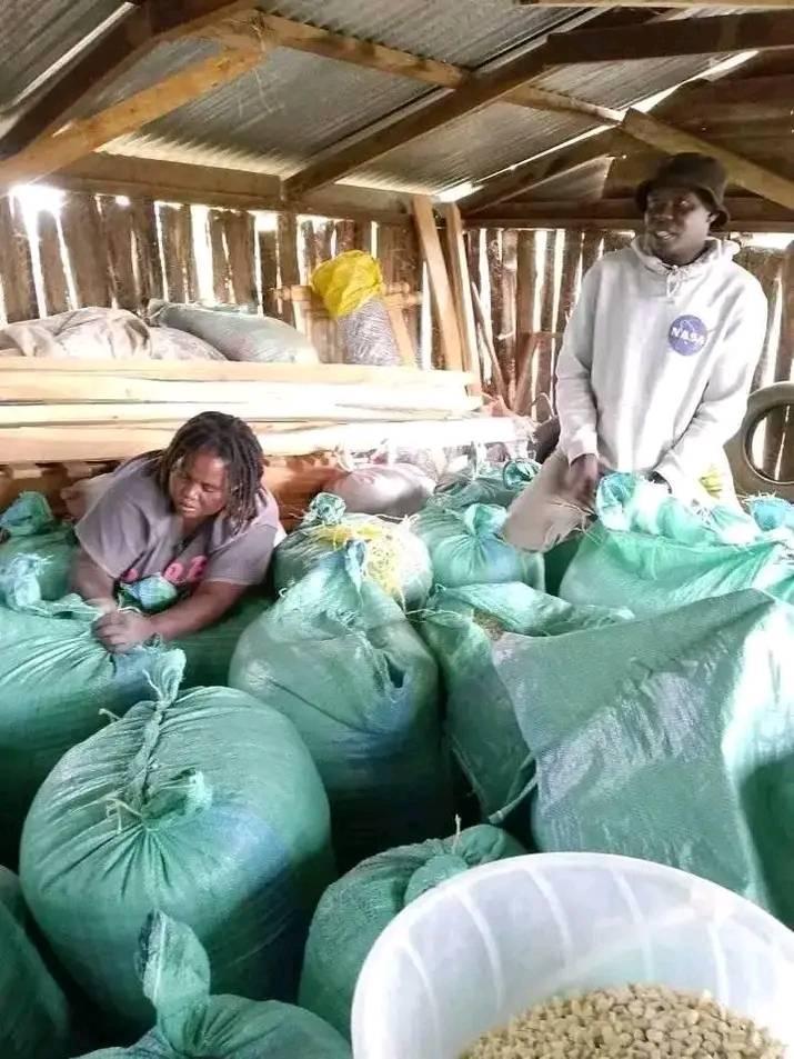 wholesale