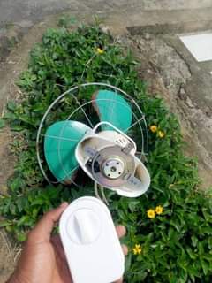 A picture of NAUZA FENI Y JUUU MWANAMKE NYONGA IKO FULL 0786494436