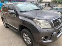 A picture of 2013 PRADO
