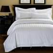A picture of 10PC PLAIN WHITE DUVETS
