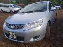Gitau D.
