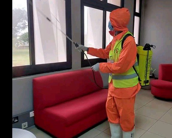 pest control